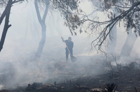 Σταμάτα φωτιά: Καίει δάσος – Ηχησε το 112