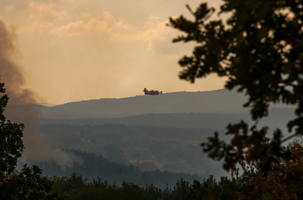 Είχε δικαίωμα η Δαδιά να ζήσει;