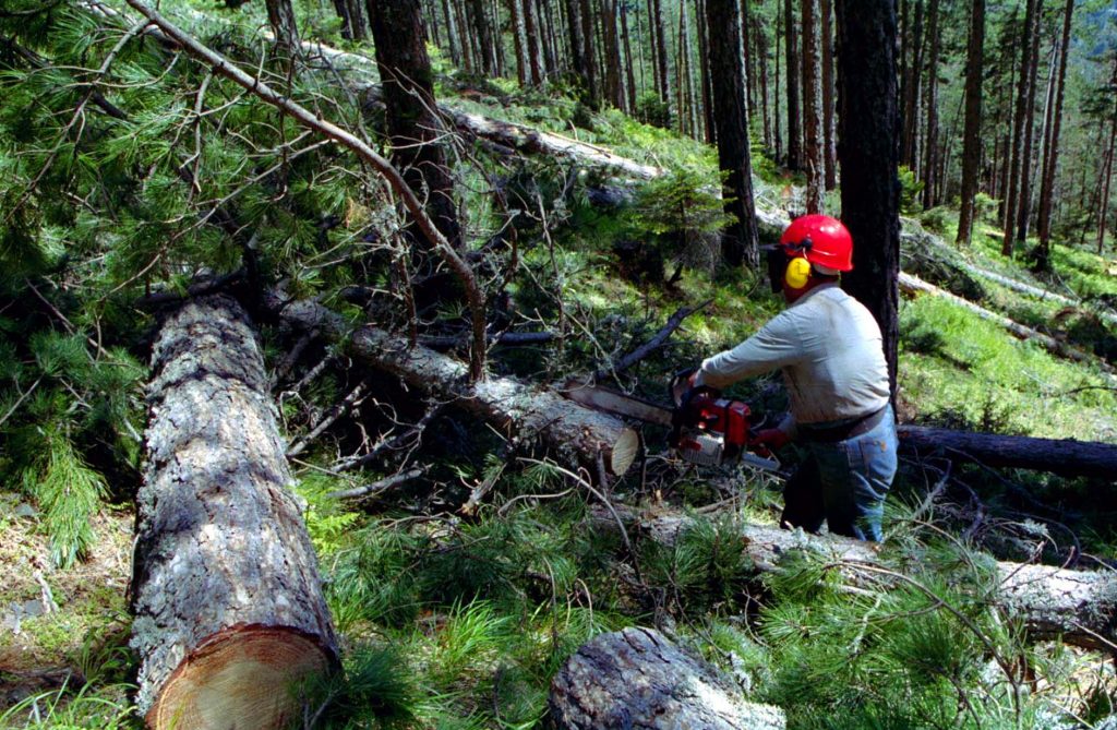 Τους χρειαζόμαστε περισσότερο από ό,τι μας χρειάζονται