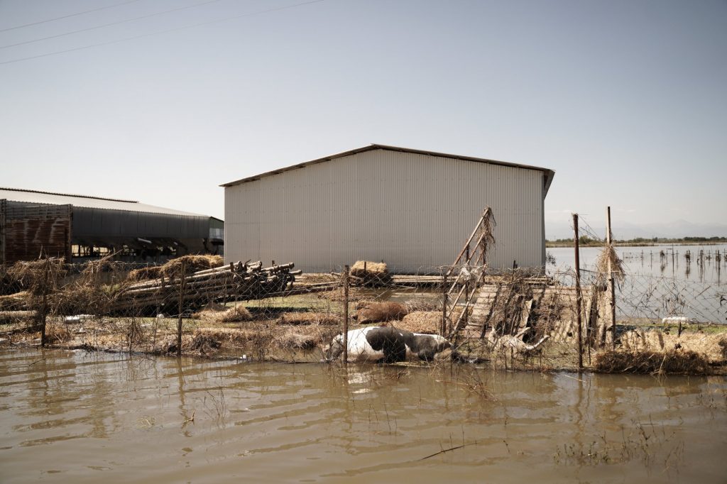 Θεσσαλία: Σε λειτουργία η μονάδα διαχείρισης των νεκρών ζώων στη ΒΙΠΕ της Λάρισας