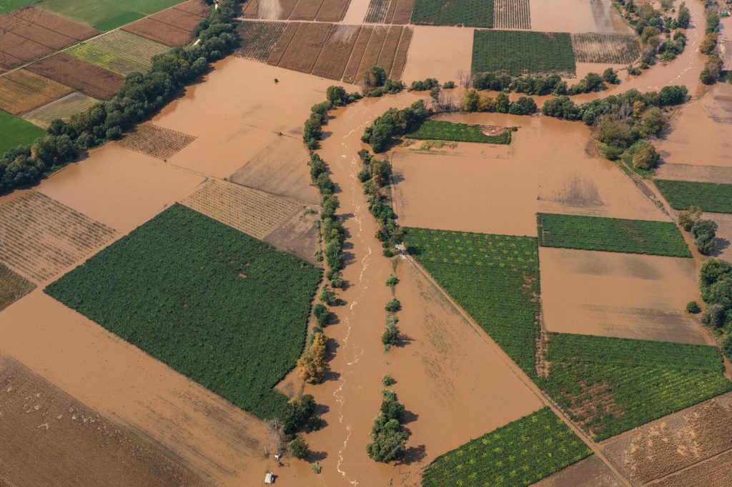 Θεσσαλία: Διπλή εισαγγελική παρέμβαση για βιολογικό καθαρισμό και νεκρά ζώα