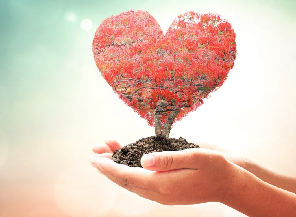 Συμβουλές για δυνατή και υγιή καρδιά – Τι την βλάπτει και τι την ωφελεί