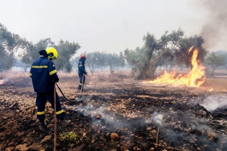 Εύβοια: Δύο χρόνια μετά τις φωτιές ζουν με τον καμένο αμίαντο