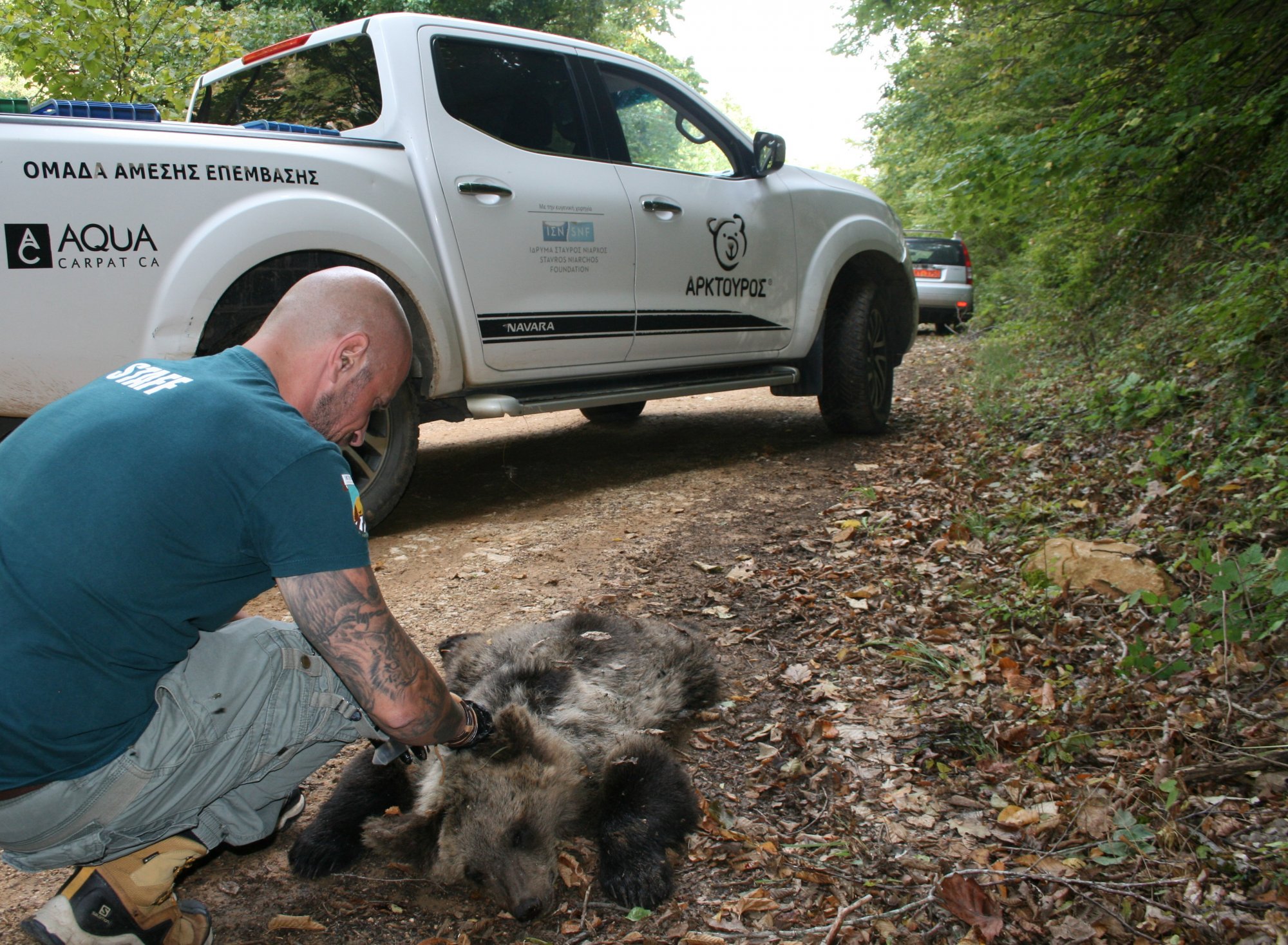 Λαθροκυνηγός σκότωσε αρκουδάκι