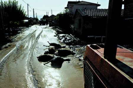 Ο κίνδυνος επιδημίας και η ανάγκη εμβολιασμών