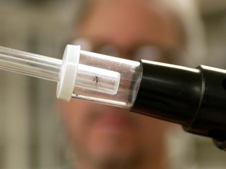 ΕΟΔΥ: 20 θάνατοι από τον ιό του Δυτικού Νείλου, 157 κρούσματα
