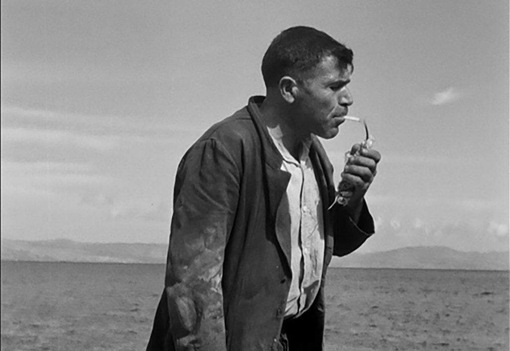 Ταινιοθήκη της Ελλάδας: Κινηματογράφος και εκπαίδευση