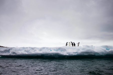 Εν πλω, high end περιήγηση στην απόκοσμη και ονειρική Ανταρκτική