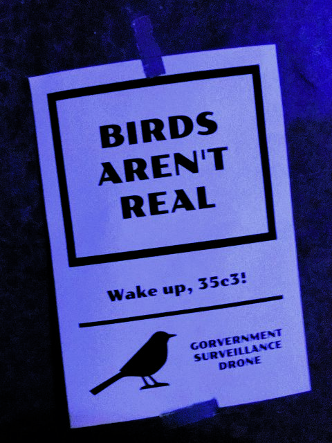 Τα πουλιά δεν είναι αληθινά