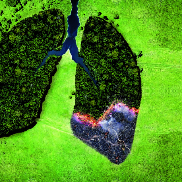 Πώς θα αποτρέψουμε την περιβαλλοντική αλλοίωση μεταξύ οικοσυστημάτων