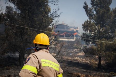 Εύβοια: Σε ύφεση η φωτιά στην Κάρυστο