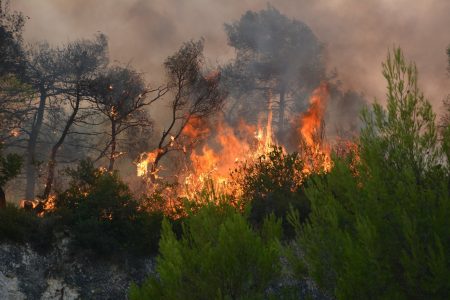 Μεγάλη φωτιά στην Κάρυστο – Aπειλούνται σπίτια