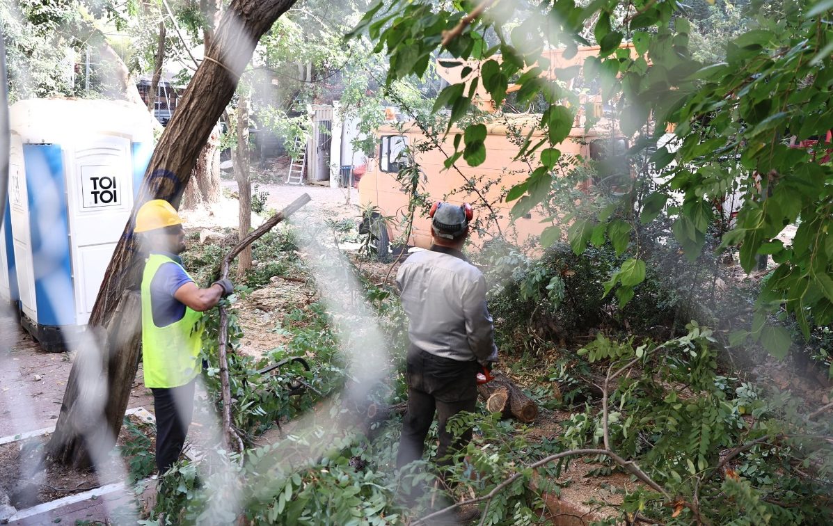 Ελληνικό Μετρό: Η απάντηση της για τα δέντρα στα Εξάρχεια