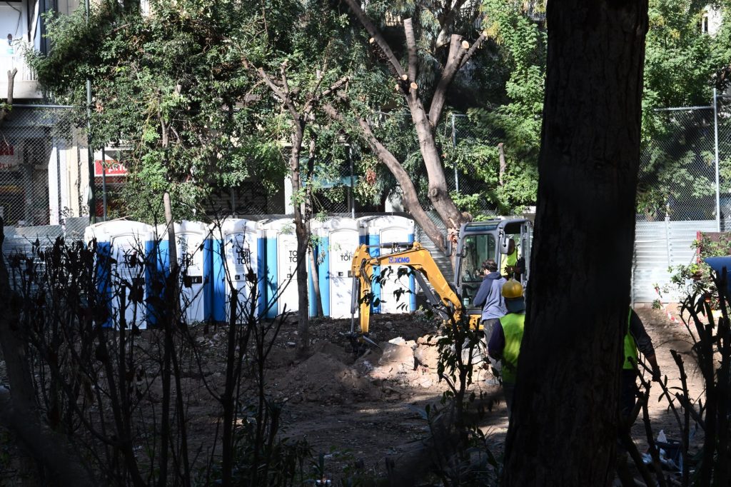 Το δέντρο και το δάσος στην Αθήνα