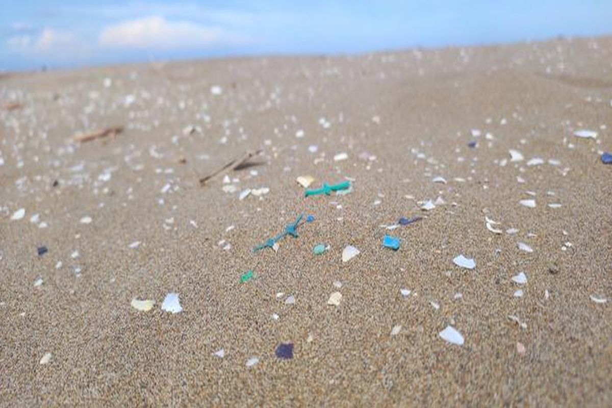 «Παραφορτωμένα» με μικροπλαστικά όλα τα είδη στα ποτάμια που εκβάλλουν στη Μεσόγειο