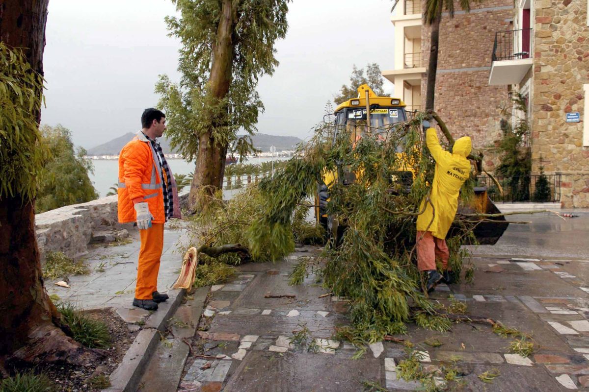 Θεσσαλονίκη: Έπεσαν δέντρα από τους θυελλώδεις ανέμους