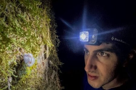 Κι όμως η έχιδνα του Ατένμπορο δεν έχει εξαφανιστεί – Την εντόπισε Έλληνας