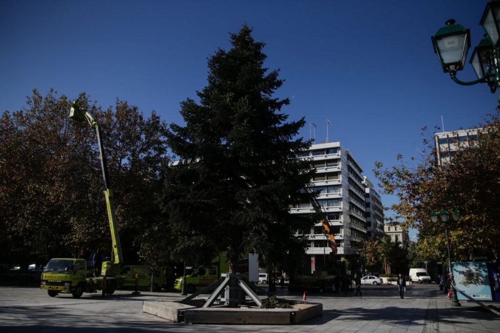 Στήθηκε το χριστουγεννιάτικο δέντρο στο Σύνταγμα – Την Πέμπτη η φωταγώγηση