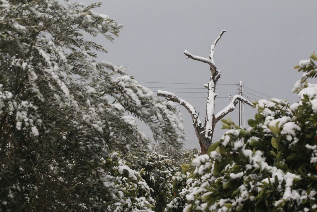 Καιρός: Εν αναμονή της χειμωνιάτικης εισβολής