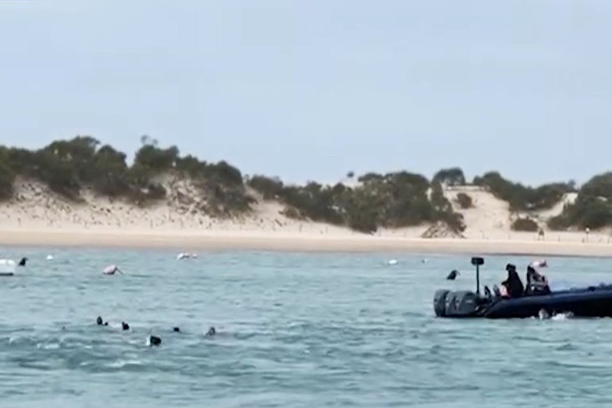 Ισπανία: Διακινητές πετούν στη θάλασσα μετανάστες – 4 νεκροί (βίντεο)