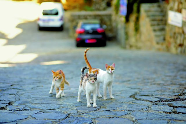 Ο πλούτος της (μίας και μοναδικής) ζωής