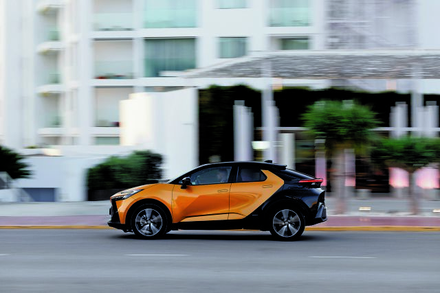 Πολλαπλοί ρόλοι