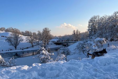 Γερμανία: Χάος από τα χιόνια στο Μόναχο