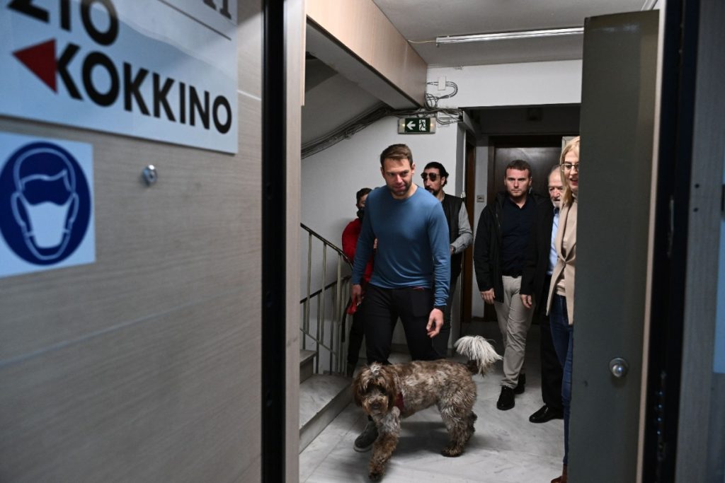 Κασσελάκης: Το σχόλιο για τη σκυλίτσα Φάρλι που έβαλε φωτιά στο «Κόκκινο»