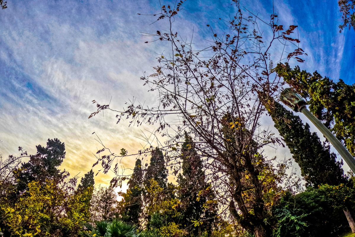 Καιρός: Οι περιοχές με 24άρια το Σαββατοκύριακο – Έρχεται νέα κακοκαιρία