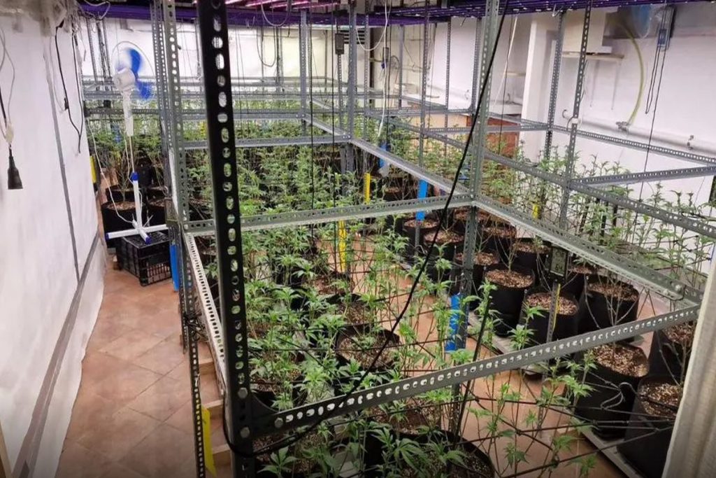 Εξαρθρώθηκε εγκληματική οργάνωση με 108 κιλά χασίς – Το κέρδος ξεπερνούσε τις 800.000 ευρώ