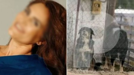 Νεοχωρούδα: Για απόπειρα βιασμού είχε κατηγορηθεί ο 37χρονος ιδιοκτήτης των σκυλιών που κατασπάραξαν την 50χρονη