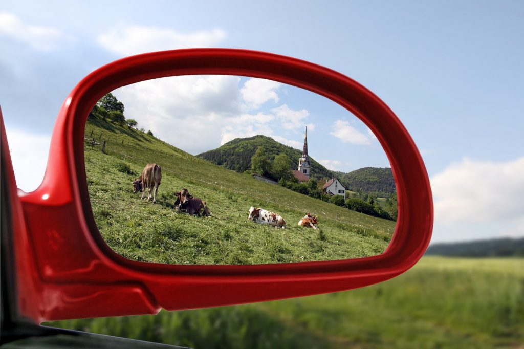 Πρώτα ήρθαν για τα αυτοκίνητα και ύστερα για τις αγελάδες