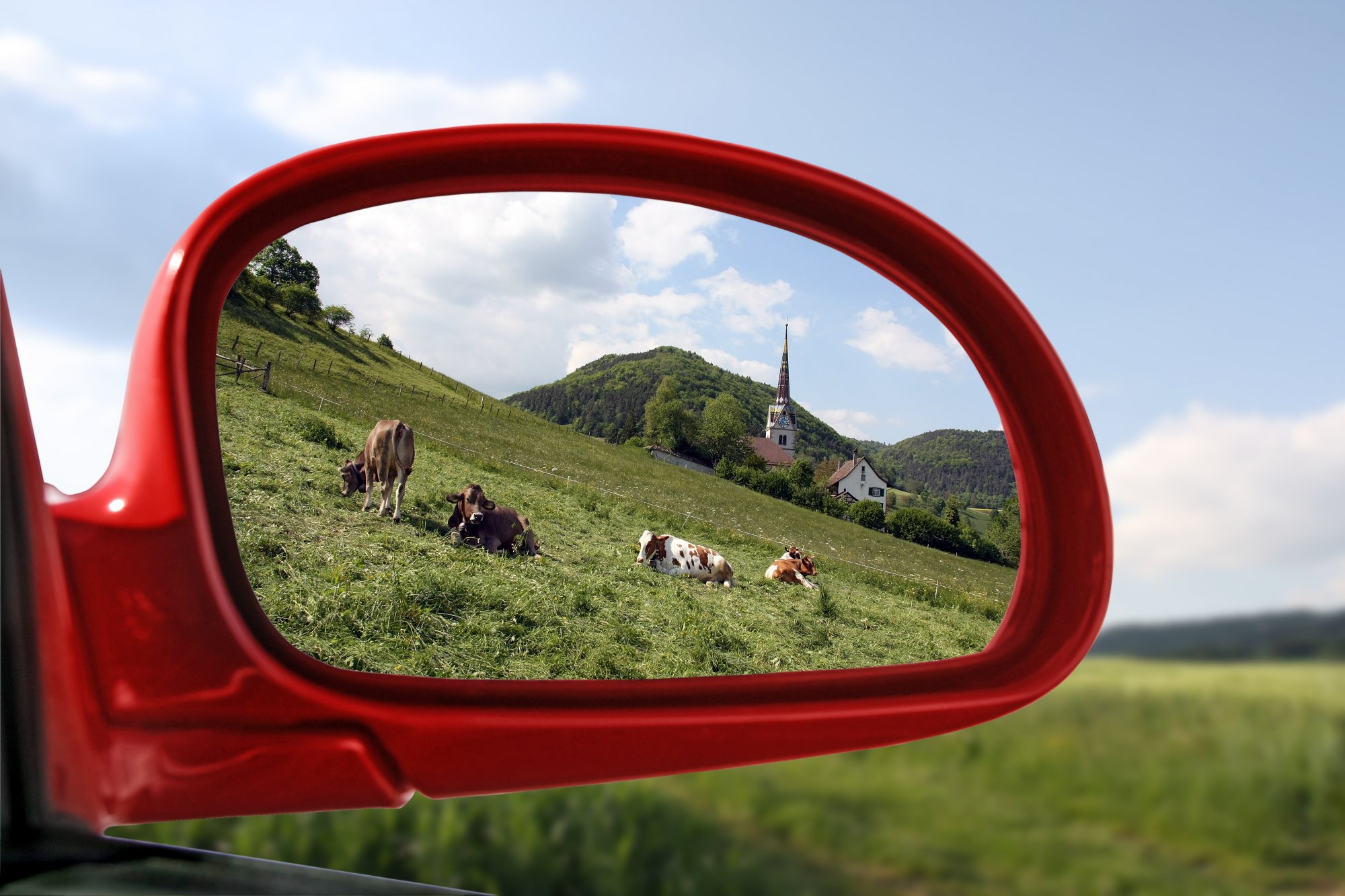 Πρώτα ήρθαν για τα αυτοκίνητα και ύστερα για τις αγελάδες
