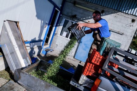 «Ναι» στην τροπολογία Καιρίδη από τον αγροτικό τομέα – «Θα μείνουν αμάζευτα τα προϊόντα»