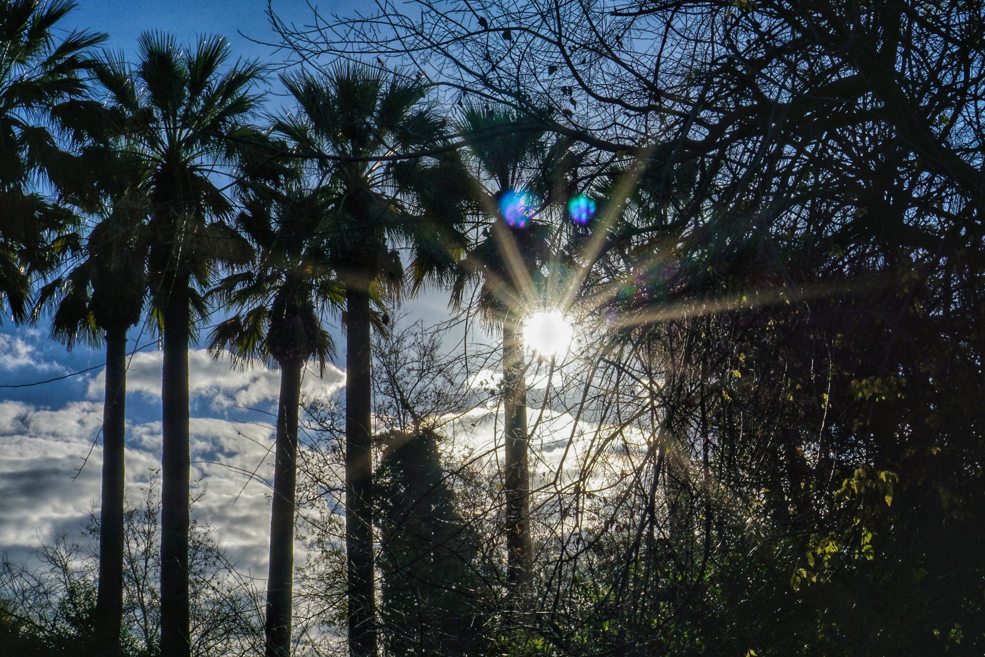 Χειμερινό Ηλιοστάσιο: Ο καιρός του χειμώνα – Ο Θοδωρής Γιάνναρος αναλύει στο ΒΗΜΑ