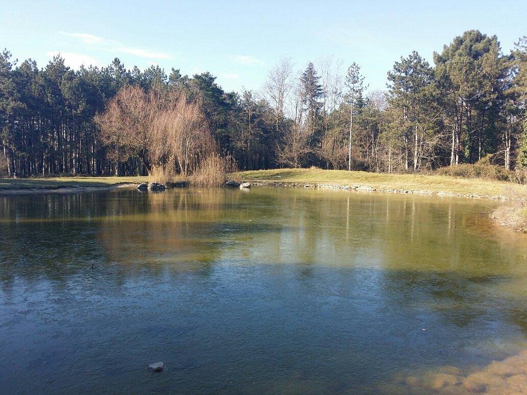 Ιωάννινα: Αρχίζει η ανάπλαση του Πάρκου Πυρσινέλλα
