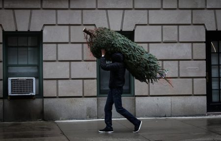 Η ιστορία πίσω από το «πιο ταπεινό χριστουγεννιάτικο δέντρο στον κόσμο» που πωλήθηκε 4.000 ευρώ
