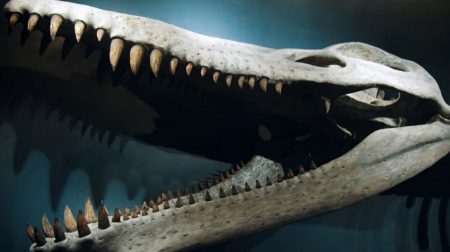 Πλειόσαυρος: Ανακαλύφθηκε κρανίο του «τρόμου» των θαλασσών