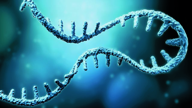 Ο αφανής ερευνητής του mRNA – Η έρευνα στη Moderna και οι διαφωνίες