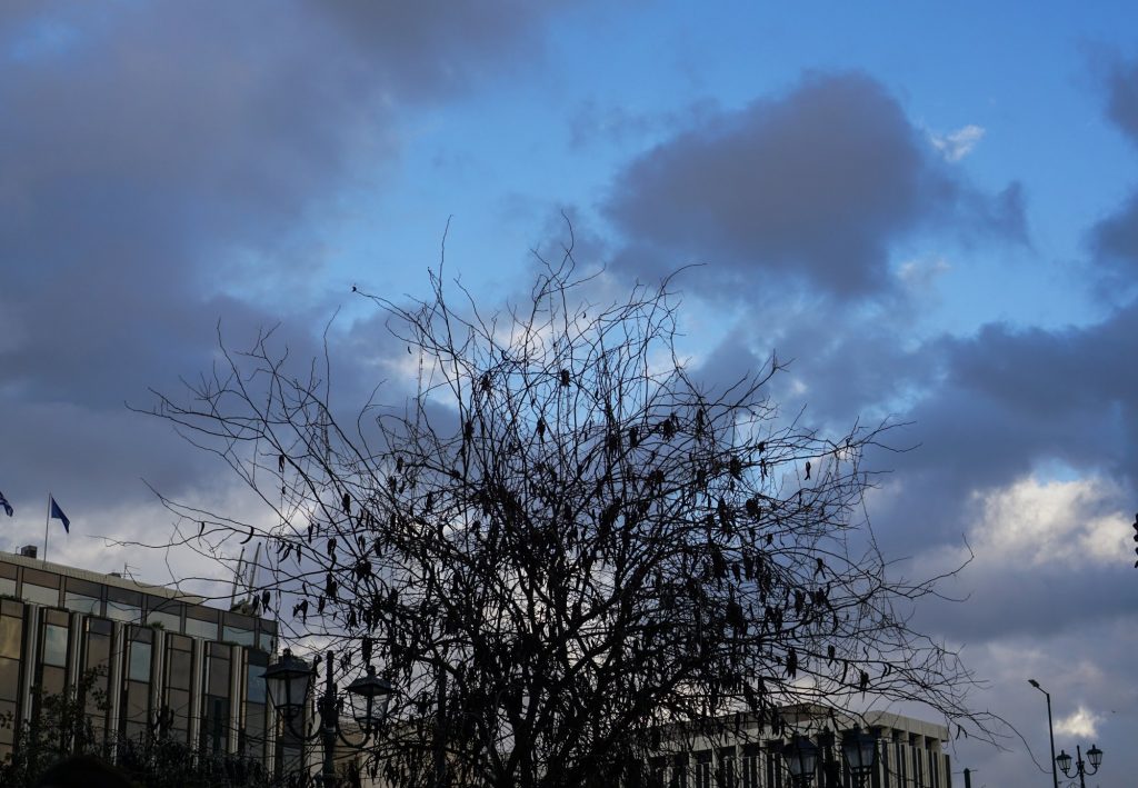 Θερμοκρασία: Ο Δεκέμβριος 2023, ο θερμότερος των τελευταίων 15 ετών