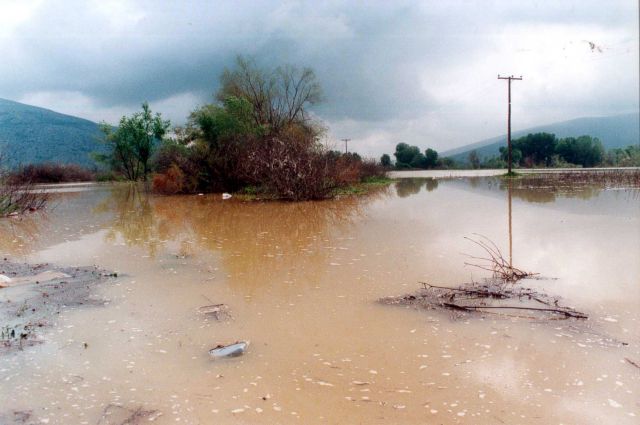 Υγειονομική βόμβα απειλεί την Φαρκαδόνα