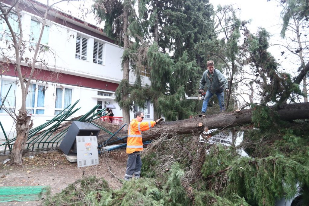 Θεσσαλονίκη: Κλειστά σχολεία λόγω πτώσης δέντρων
