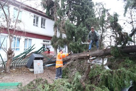 Θεσσαλονίκη: Κλειστά σχολεία λόγω πτώσης δέντρων