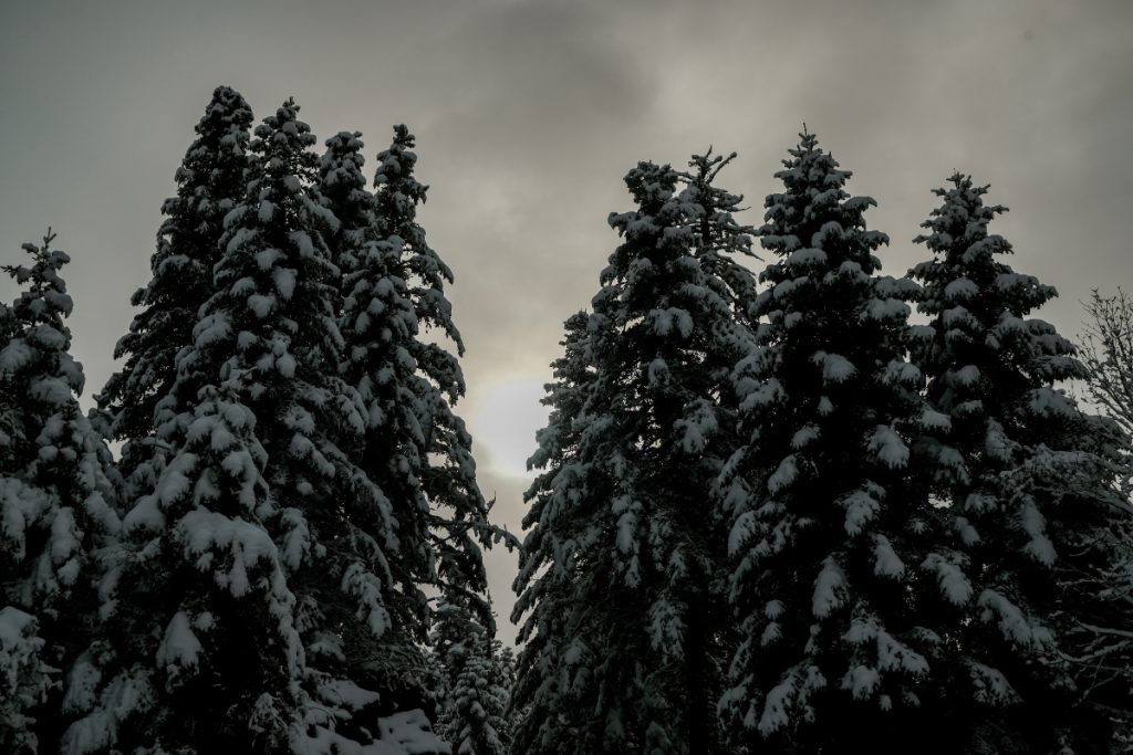 Καιρός: Τα πρώτα χιόνια στην Πάρνηθα