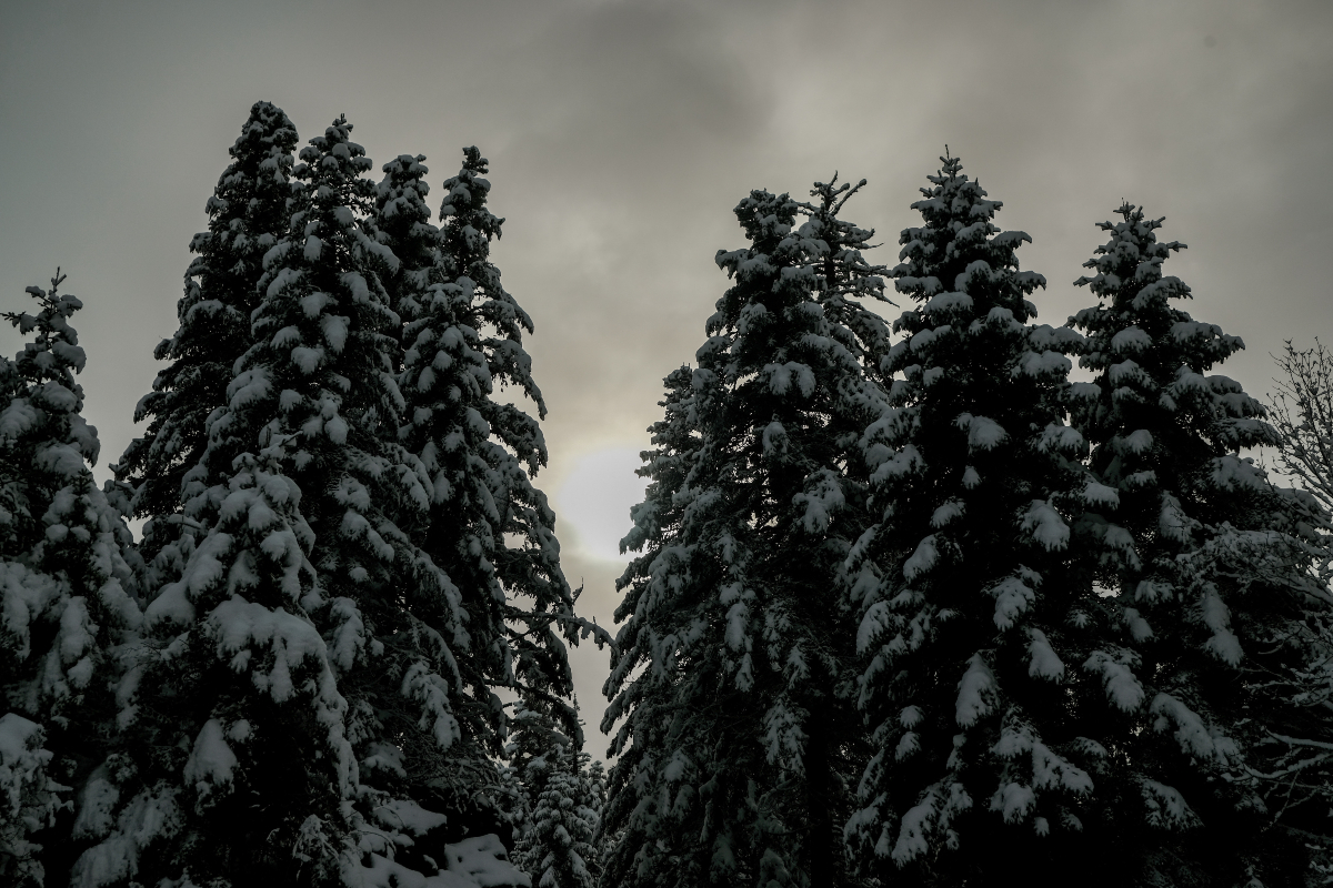 Καιρός: Τα πρώτα χιόνια στην Πάρνηθα