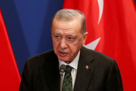 Ερντογάν: «Δεν έχετε δει την Τουρκία, βούληση μας η προστασία της Γαλάζιας Πατρίδας»
