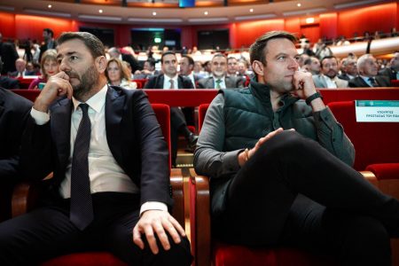 Πυρά Κασσελάκη-Ανδρουλάκη κατά Μητσοτάκη για την ακρίβεια