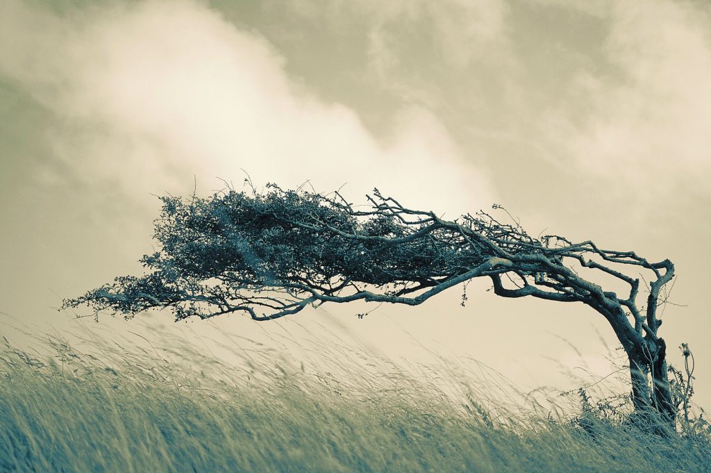 Ρευστότητα, δίλημμα και αντιφάσεις