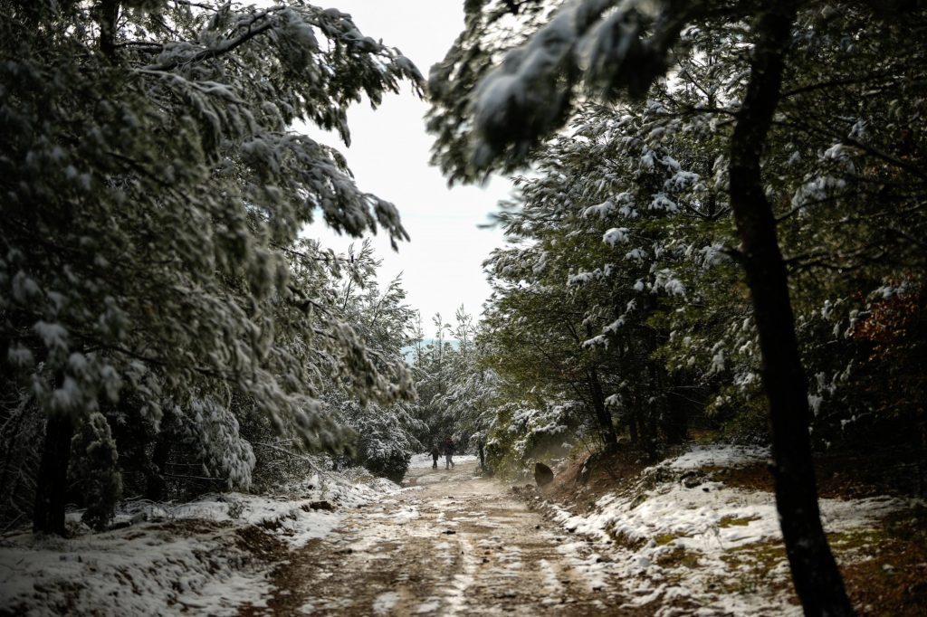Καιρός: Υποχωρούν τα χιόνια, επιμένει ο παγετός – Ποιες περιοχές βρίσκονται στα λευκά