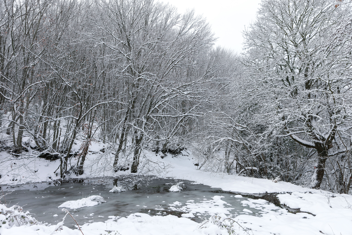 Καιρός: Ανεβαίνει ξανά η θερμοκρασία – Ποιες περιοχές καλύφθηκαν με χιόνι